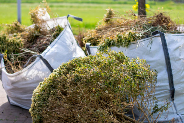 Professional Junk Removal in Jefferson, OH